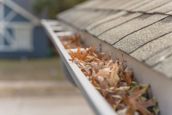 Leaf Barrier Installation in Westerville